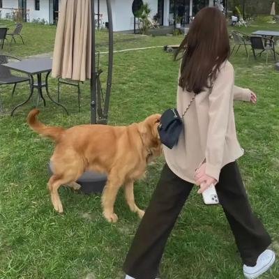 暗金烂狗3